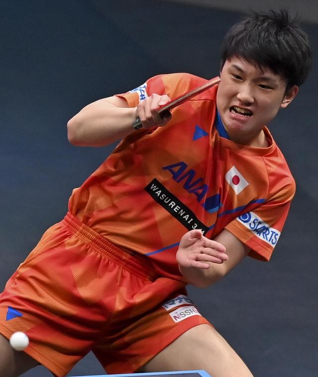 葡萄牙队绝杀波兰队,张本智和惊艳四座 葡萄牙队绝杀波兰队,张本智和惊艳四座