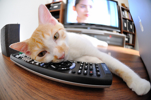 戈贝尔一柱擎天，热火斩落天山飞虎