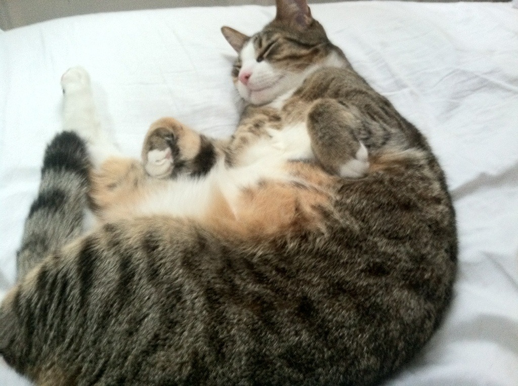 单节爆发的艺术,从76人制胜一节到F1街道赛的决胜弯道