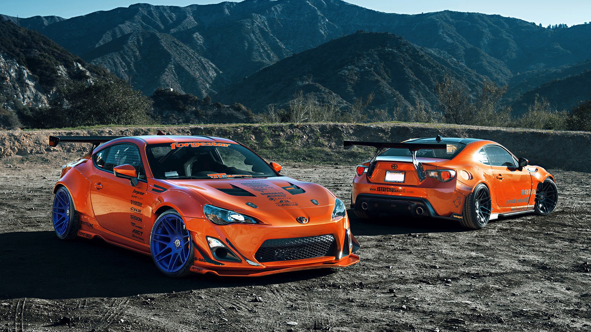 跨界收割，美加墨世界杯焦点战中的森林狼与广东队