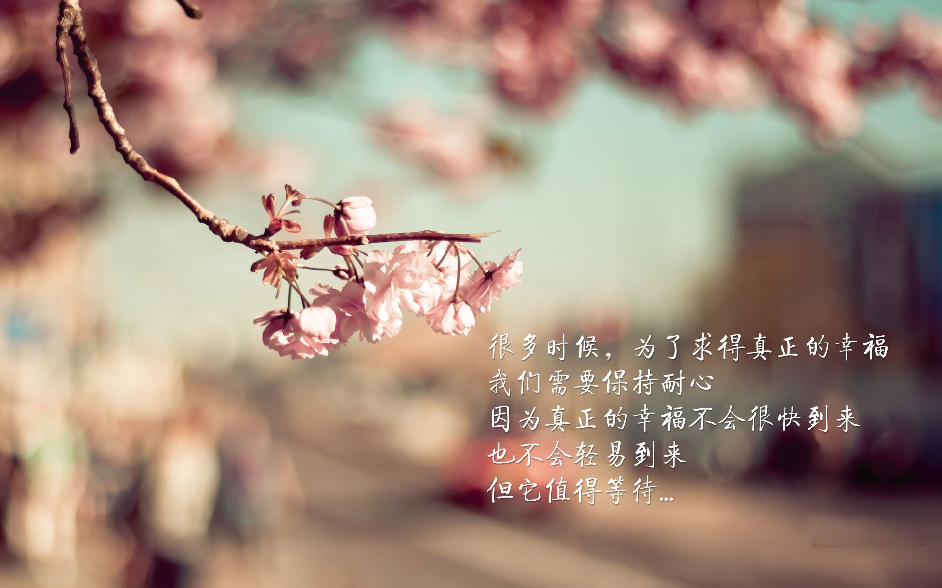 沙漠绿洲的黄昏,2026世界杯B组,巴西险胜阿联酋,哈基米以一己之力书写悲壮史诗