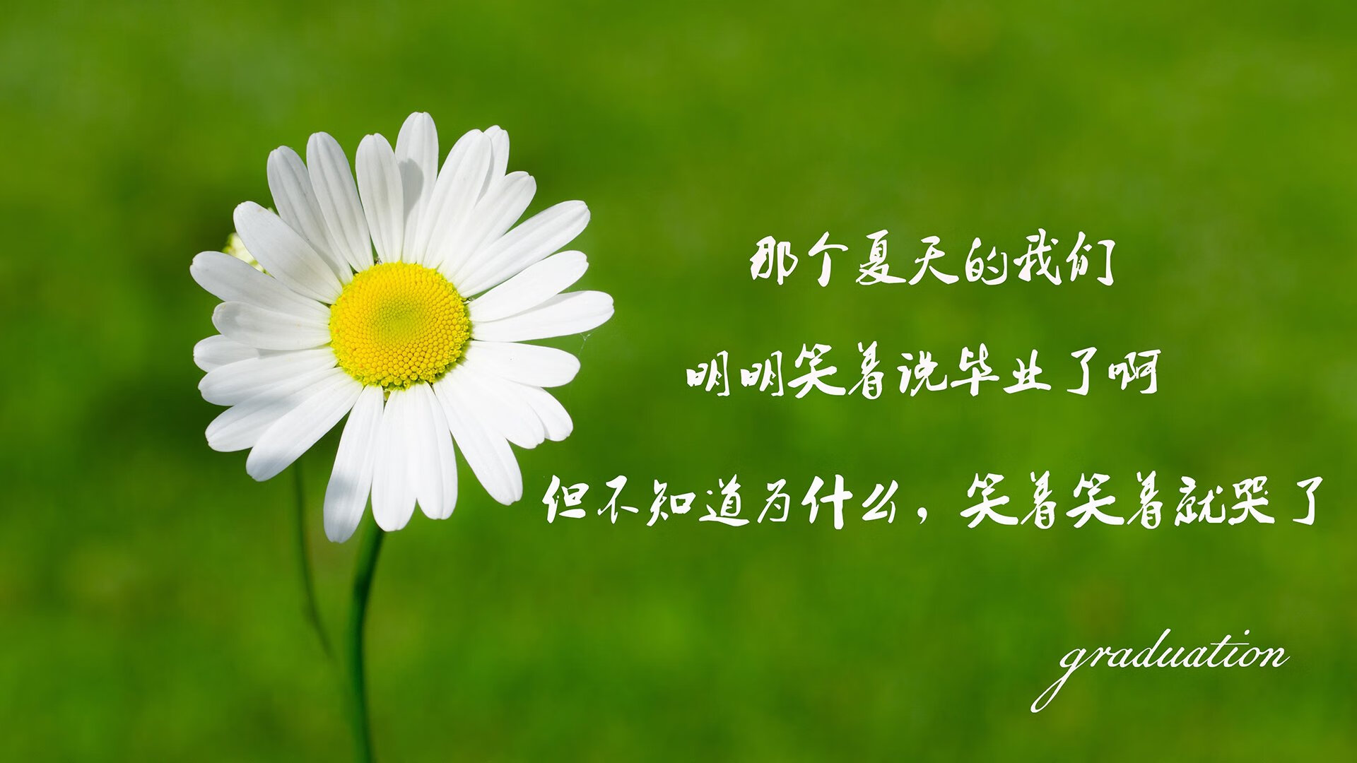 赤道之焰,2026世界杯小组赛,厄瓜多尔绝境突袭突尼斯,维尼修斯孤星耀世
