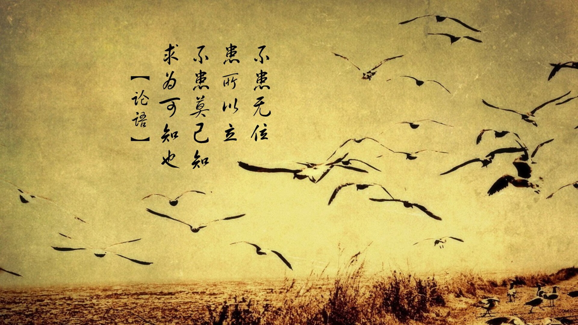 雷火电竞网址-太极虎破蓝衣，2026世界杯H组关键战，B费孤掌难鸣，韩国铁血复仇